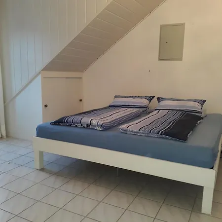 Apartment Traumblick Rursee *